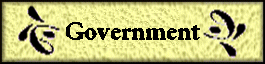 Government