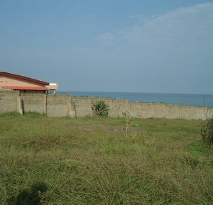 beach fragment