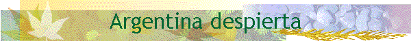�Argentina Despierta!