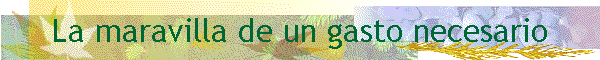 La Maravilla de un Gasto Necesario