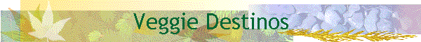 Veggie Destinos