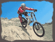 Bike & Action Sport Trading