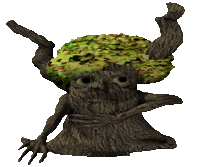 Sassyfrass Suet