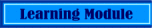 Learning Module