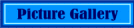 Picture Gallery