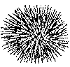 wpe9.gif (3219 bytes)