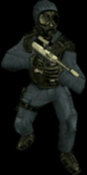 sas