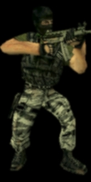 terror