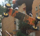 BS 180