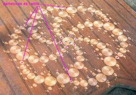 crop circles