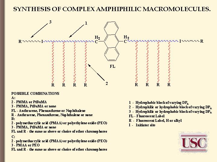 Proposal #1 of the Broad Project on Amphiphilic Macromolecules Preparation. 