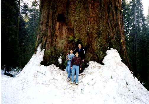We look really small near this giant.