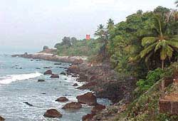 The Light House