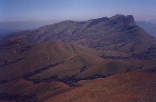 View near the Peak 