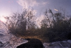 Reflection .. sky on water