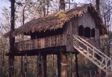 Tree House @Parambikulam