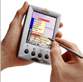 Palm420.gif (9143 bytes)