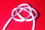 Double coin Knot