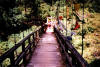 Hanging bridge at SACHEN