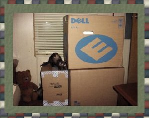 The boxes aren't damaged.
