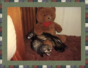Hey!  I'm trying to sleep here!
