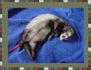 Zzzzzz.