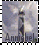 Anniebel's.
