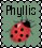 Ladybug Crossing.