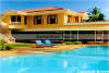 Swimming Pool Coconut Grove Goa India