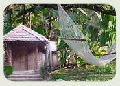 Hotel Laguna Anjuna Resort Goa India