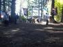 DSC00035.jpg