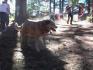 DSC00036.jpg