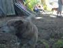 DSC00037.jpg