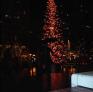 DSC00049.jpg