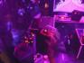 DSC00051.jpg
