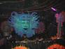 DSC00057.jpg