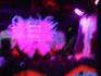 DSC00058.jpg