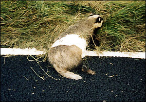 Bodger And ....... (Mashed Potato)