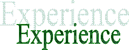 Experience