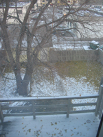 snow makes waking feel unique