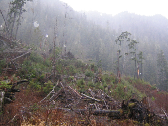 Rain in BC? Never!