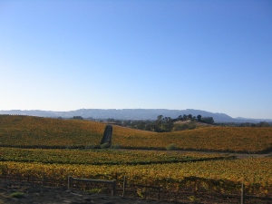 California Napa Valley