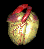 " I USED TO BE A HEART BEATING FOR SOMEONE"