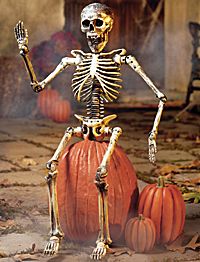 " I'm chilled to the bone ! "