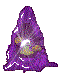 large fighting Wiseman