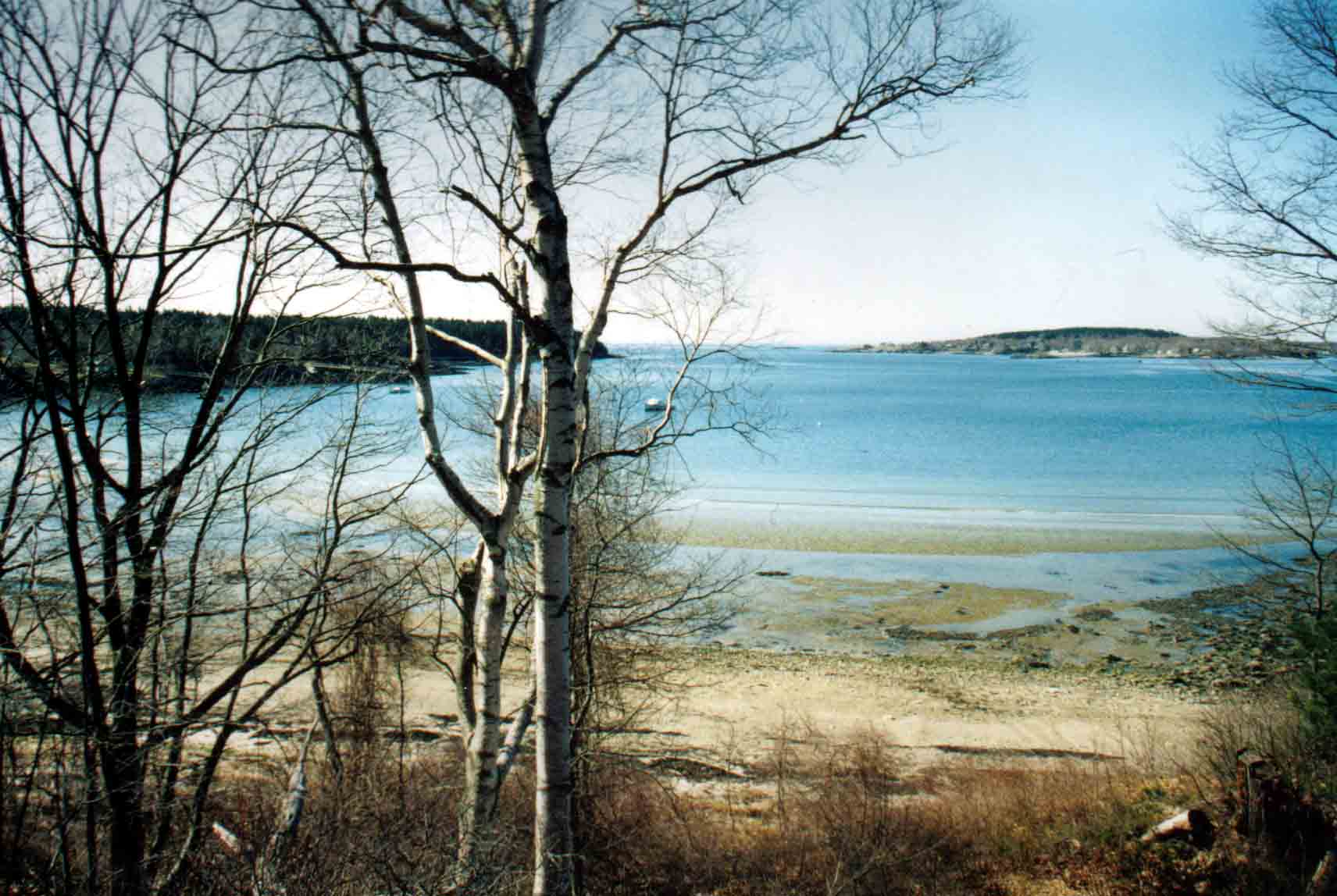 cottageviewsmall.jpg (134335 bytes)