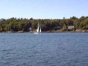 sailboat.jpg (5772 bytes)