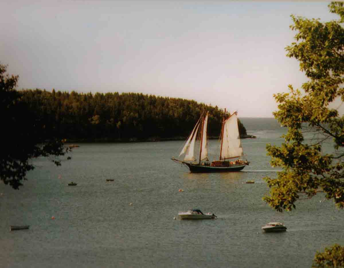 sailboatmainesmall.jpg (40044 bytes)