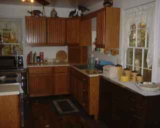 southkitchen1.jpg (7220 bytes)