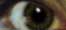 /user/face2_eyeleft.jpg